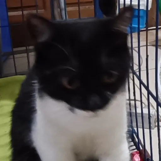 creator JayRos14's avatar