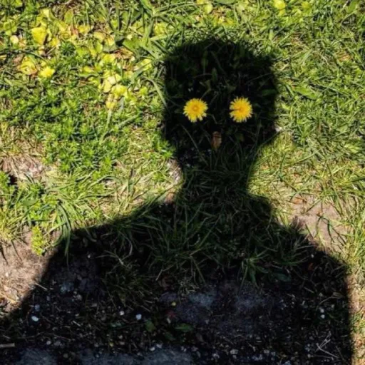 creator Maddie_of_Mayhem's avatar