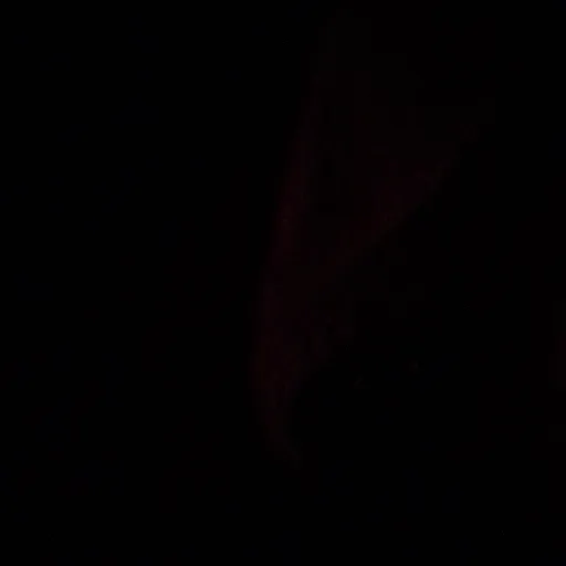 creator kenjii<3's avatar