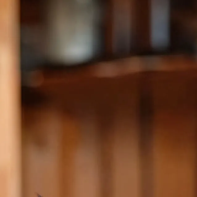 chat with ai character: katie