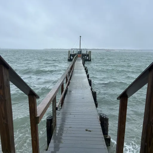 creator TooHotToChill's avatar