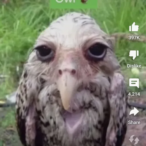 creator molly_loveUwU's avatar