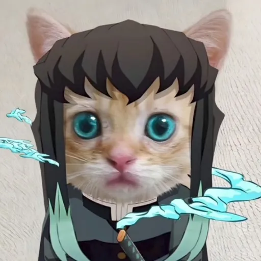 creator 你选我还是选茶茶's avatar