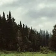 creator AngeleneLabradilya's avatar