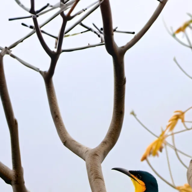 chat with ai character: israel 