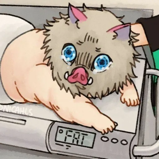 creator |_Miss Hashibira_|'s avatar