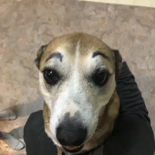 creator strawberrycow♡'s avatar