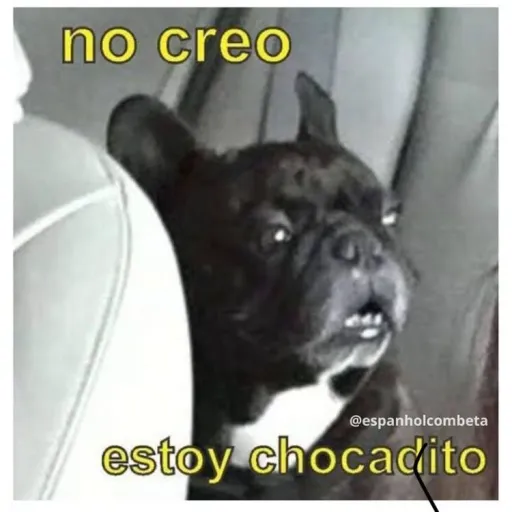 creator Umcaraqualquer's avatar