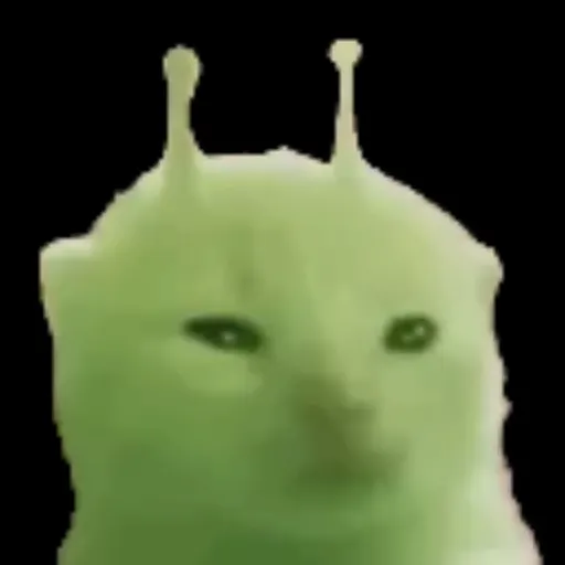 creator Gnarp the cat's avatar