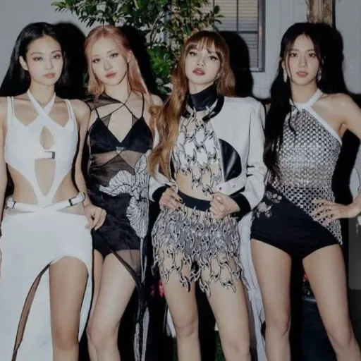 creator Blackpink_Fan🌺🌺's avatar