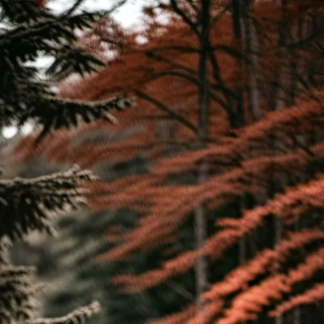 chat with ai character: supra