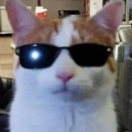 creator KendrickLover420's avatar