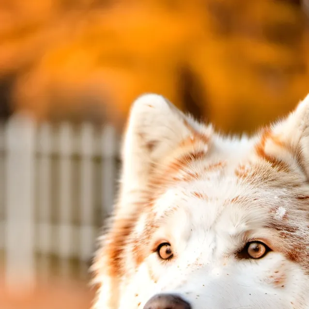 chat with ai character: jack