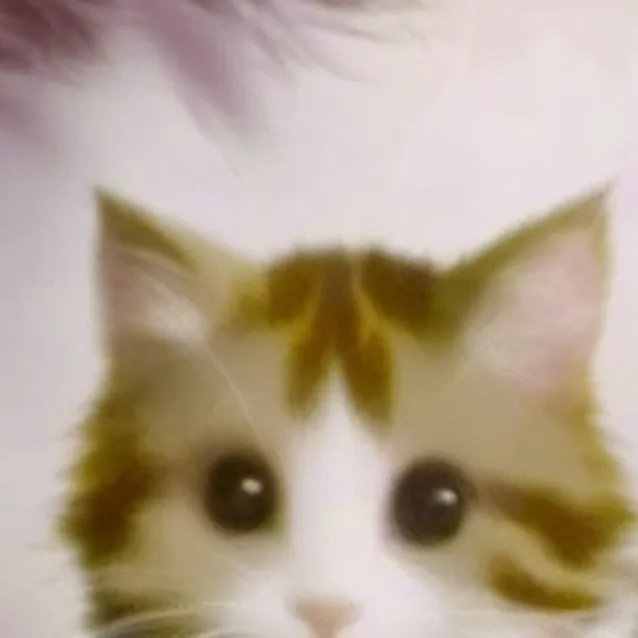 chat with ai character: Gato mewhing 