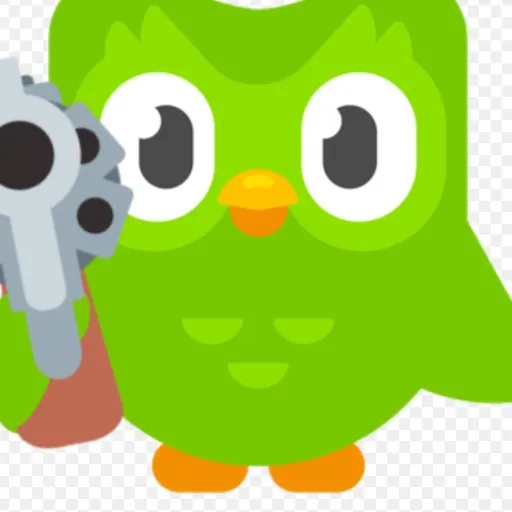creator Mr Duolingo's avatar