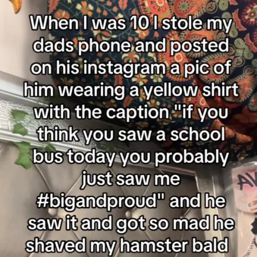 creator °○.X4ND3R.○°'s avatar