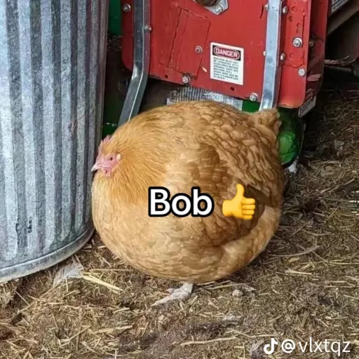 creator Talkior-0dyimWFI's avatar