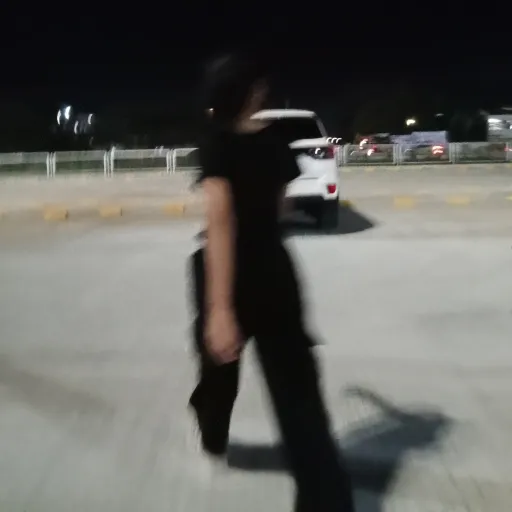 creator Risa Shamizki's avatar