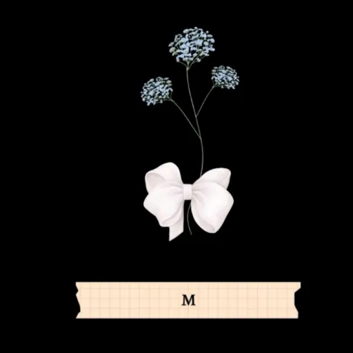 creator Raven Lee Devola.'s avatar