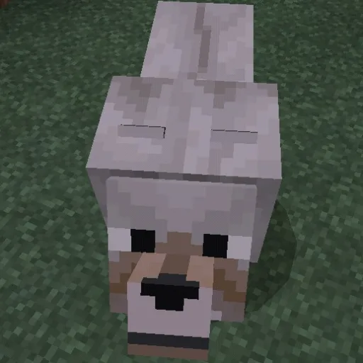 creator Minecraft wolf 27's avatar