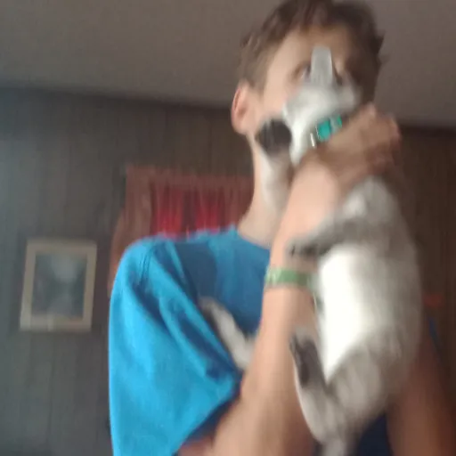 creator Austin(Auzzie)'s avatar