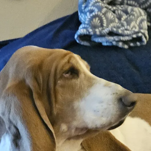 creator TheSlayQueen567's avatar