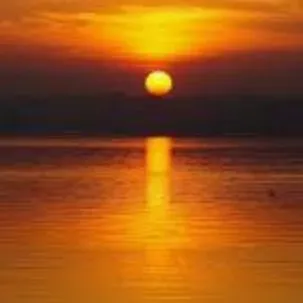 creator orb_x's avatar