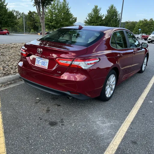 creator Paul Jeffrey's avatar