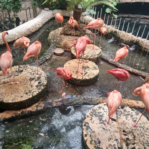 creator Cute kitty123456's avatar