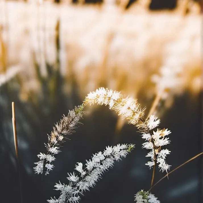 chat with ai character: Finish the lyrics 