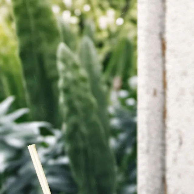 chat with ai character: milkkkk