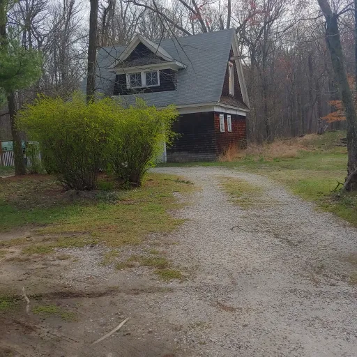 creator Cabin in the woods's avatar