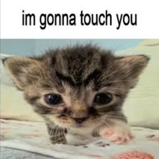 creator 🤑I EAT SOAP 24/7's avatar