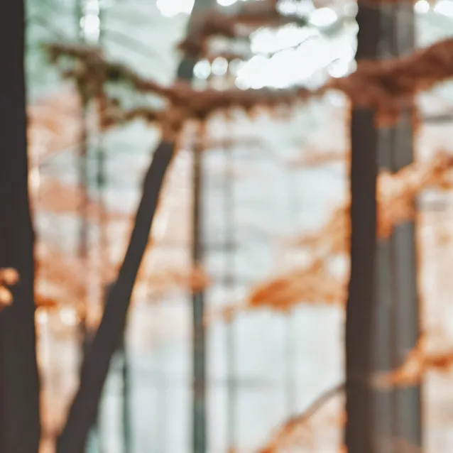 chat with ai character: eh.