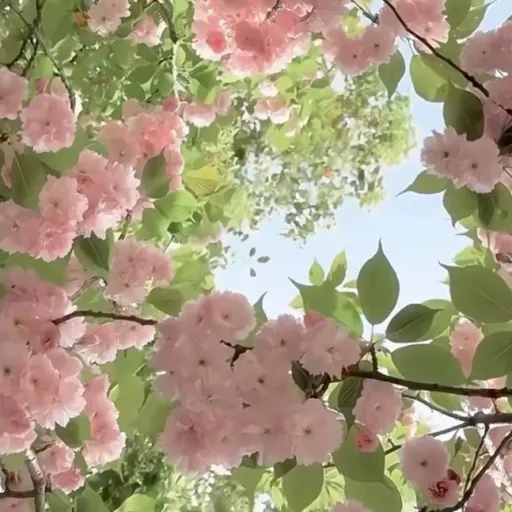 creator greenleafvibes4517's avatar