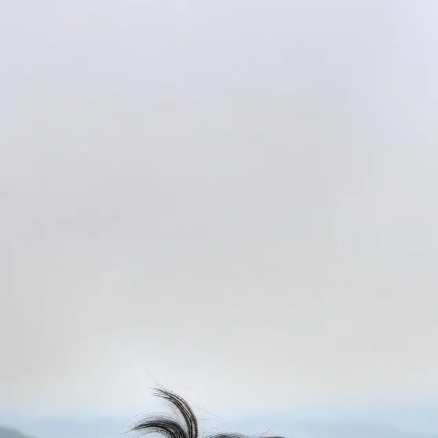 chat with ai character: rieth