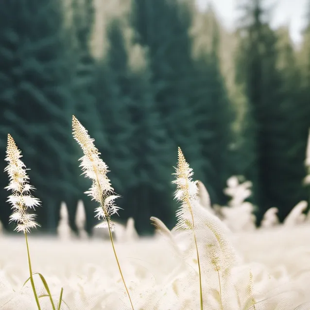 chat with ai character: idk