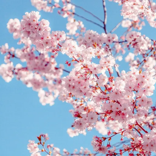 creator Crystal And Flame!'s avatar