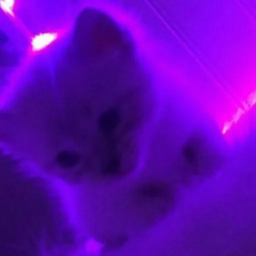 creator Gabby7445's avatar