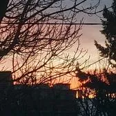 creator Lana✨✨💅💅's avatar