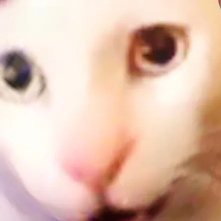 creator ChrisMemesFromX's avatar