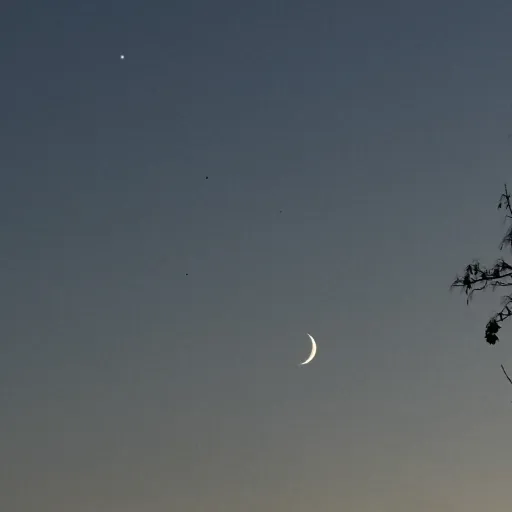 creator Melly🤍🤙🏻's avatar