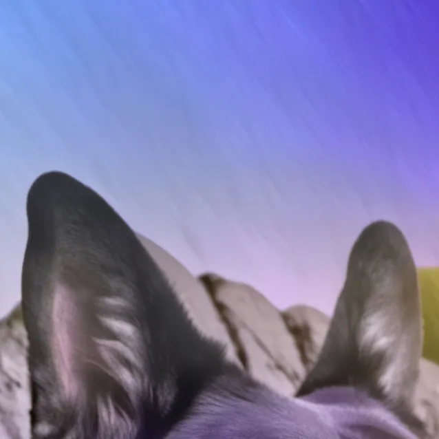 chat with ai character: ruff>:(