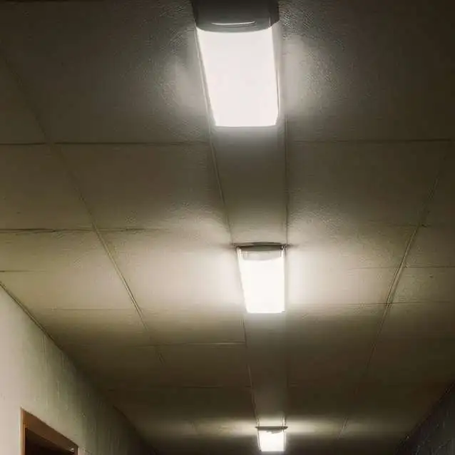 chat with ai character: Trapped in school