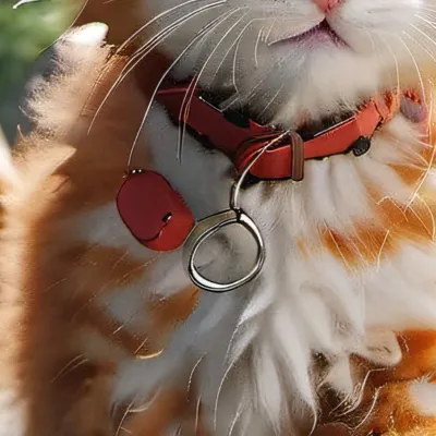 chat with ai character: Cute