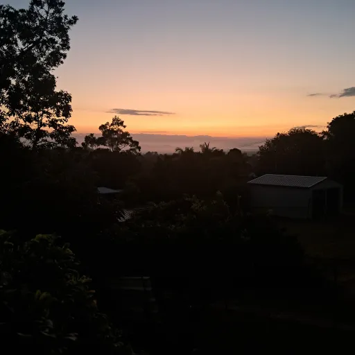 creator Pearlalala's avatar