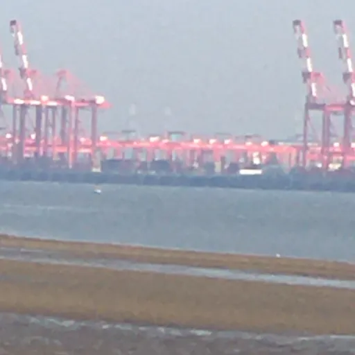 creator hi blud's avatar