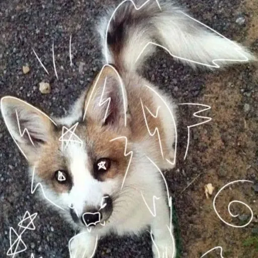 creator therien to's avatar