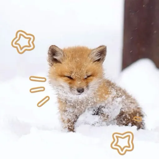 creator Julia_stay<3's avatar