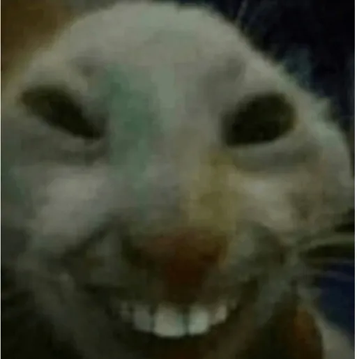 creator TRO11IN's avatar